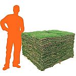 Harmony 500 sq. ft. Bluegrass Sod (1-Pallet) $499 (31% Off) and more