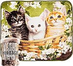 Northwest Basket of Kittens Raschel Throw Blanket, 50" x 60" $6.90