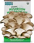 Back to the Roots Organic Mini Mushroom Grow Kit $6.49