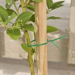 Gardener's Blue Ribbon T001B Sturdy Plastic Twist with Cutter, 100' L $1.68