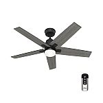 Hunter Rapidan LED 52" Ceiling Fan $99