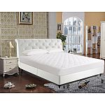 Newpoint International 250 Thread Count Luxury Mattress Pad, Queen $9.23