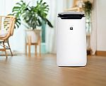 SHARP Smart Air Purifier for XL Rooms $209.99